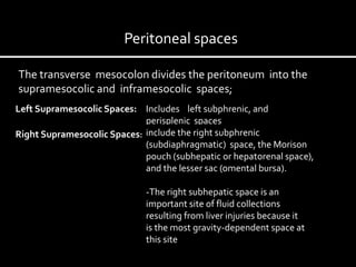 The transverse mesocolon divides the peritoneum into the
supramesocolic and inframesocolic spaces;
Left Supramesocolic Spaces: Includes left subphrenic, and
perisplenic spaces
Right Supramesocolic Spaces: include the right subphrenic
(subdiaphragmatic) space, the Morison
pouch (subhepatic or hepatorenal space),
and the lesser sac (omental bursa).
-The right subhepatic space is an
important site of fluid collections
resulting from liver injuries because it
is the most gravity-dependent space at
this site
Peritoneal spaces
 