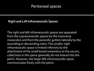 Right and Left Inframesocolic Spaces
The right and left inframesocolic spaces are separated
from the supramesocolic spaces by the transverse
mesocolon and from the paracolic gutters laterally by the
ascending or descending colon.The smaller right
inframesocolic space is limited inferiorly by the
attachment of the small bowel mesentery to the cecum;
collections in this space generally do not extend into the
pelvis However, the larger left inframesocolic space
communicates freely with the pelvis.
Peritoneal spaces
 