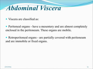 Abdominal Viscera
 Viscera are classified as:
 Peritoneal organs - have a mesentery and are almost completely
enclosed in the peritoneum. These organs are mobile.
 Retroperitoneal organs - are partially covered with peritoneum
and are immobile or fixed organs.
3/22/2024 14
 