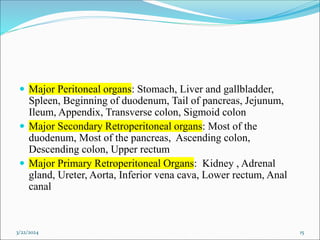  Major Peritoneal organs: Stomach, Liver and gallbladder,
Spleen, Beginning of duodenum, Tail of pancreas, Jejunum,
Ileum, Appendix, Transverse colon, Sigmoid colon
 Major Secondary Retroperitoneal organs: Most of the
duodenum, Most of the pancreas, Ascending colon,
Descending colon, Upper rectum
 Major Primary Retroperitoneal Organs: Kidney , Adrenal
gland, Ureter, Aorta, Inferior vena cava, Lower rectum, Anal
canal
3/22/2024 15
 