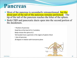 Pancreas
 Most of the pancreas is secondarily retroperitoneal, but the
distal part of the tail of the pancreas remains peritoneal. The
tip of the tail of the pancreas reaches the hilus of the spleen.
 Both CBD and pancreatic ducts open into the second portion of
the duodenum.
3/22/2024 36
 