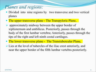Planes and regions:
 Divided into nine regions by two transverse and two vertical
planes
 The upper transverse plane - The Transpyloric Plane,
 approximately midway between the upper border of
xiphisternum and umbilicus. Posteriorly, passes through the
body of the first lumbar vertebra; Anteriorly, passes through the
tips of the right and left ninth costal cartilages.
 The lower transverse plane - The Transtubercular Plane,
Lies at the level of tubercles of the iliac crest anteriorly, and
near the upper border of the fifth lumbar vertebra posteriorly.
3/22/2024 4
 