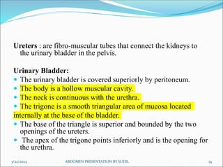 Ureters : are fibro-muscular tubes that connect the kidneys to
the urinary bladder in the pelvis.
Urinary Bladder:
 The urinary bladder is covered superiorly by peritoneum.
 The body is a hollow muscular cavity.
 The neck is continuous with the urethra.
 The trigone is a smooth triangular area of mucosa located
internally at the base of the bladder.
 The base of the triangle is superior and bounded by the two
openings of the ureters.
 The apex of the trigone points inferiorly and is the opening for
the urethra.
3/22/2024 ABDOMEN PRESENTATION BY SUDIL 74
 