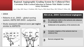 Ccta Rector Score CTA Collateral Scoring system- RADIOLOGY 2 | PPTX