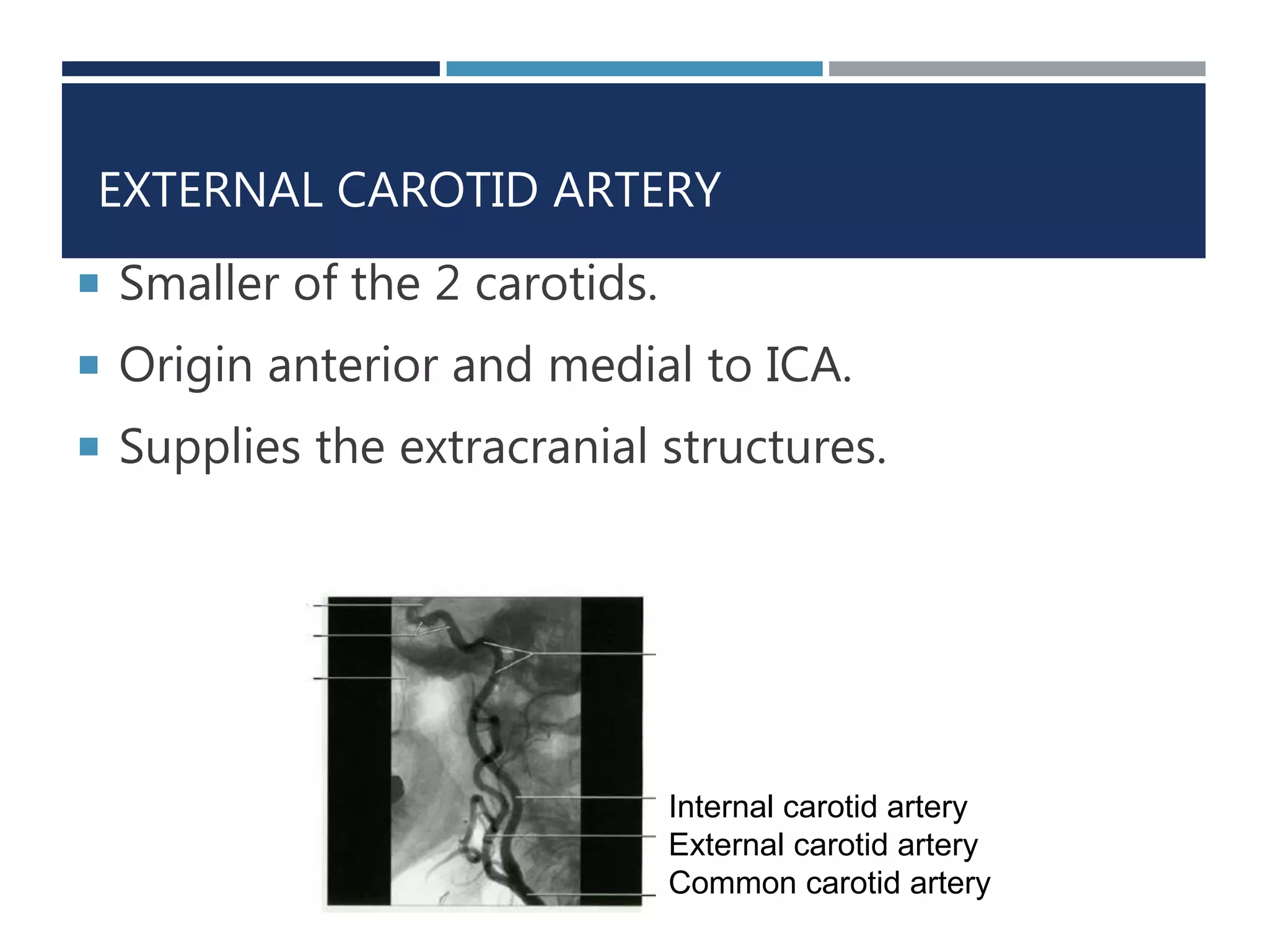CT Angiography Head and Neck | PPTX