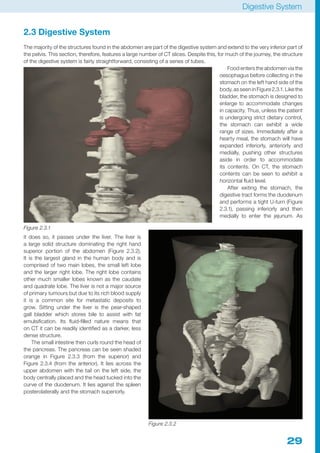 CT Anatomy for Radiotherapy.pdf eryuioooop | PDF