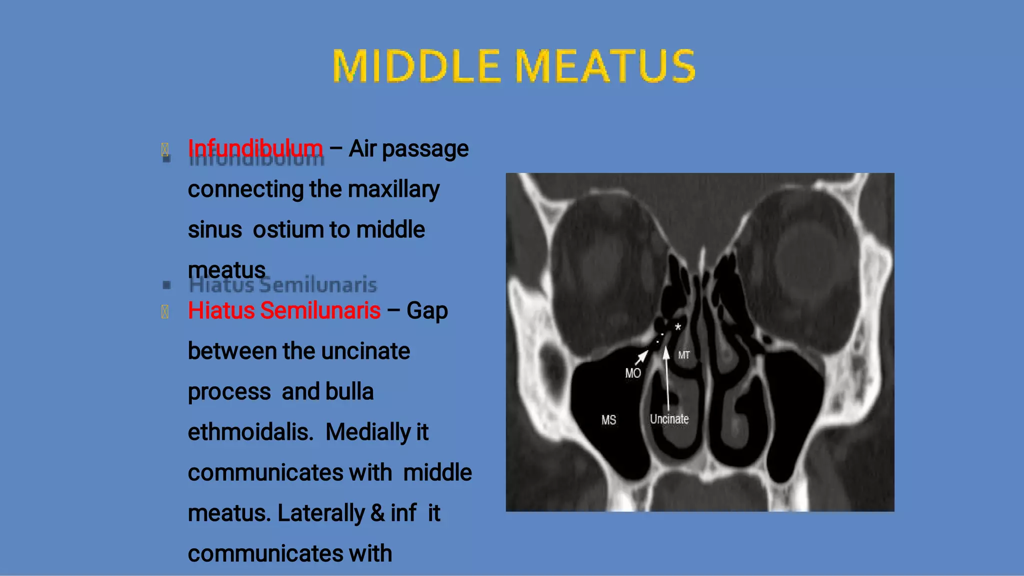 Ct anatomy of paranasal sinuses( PNS) pk.pdf ppt PPT