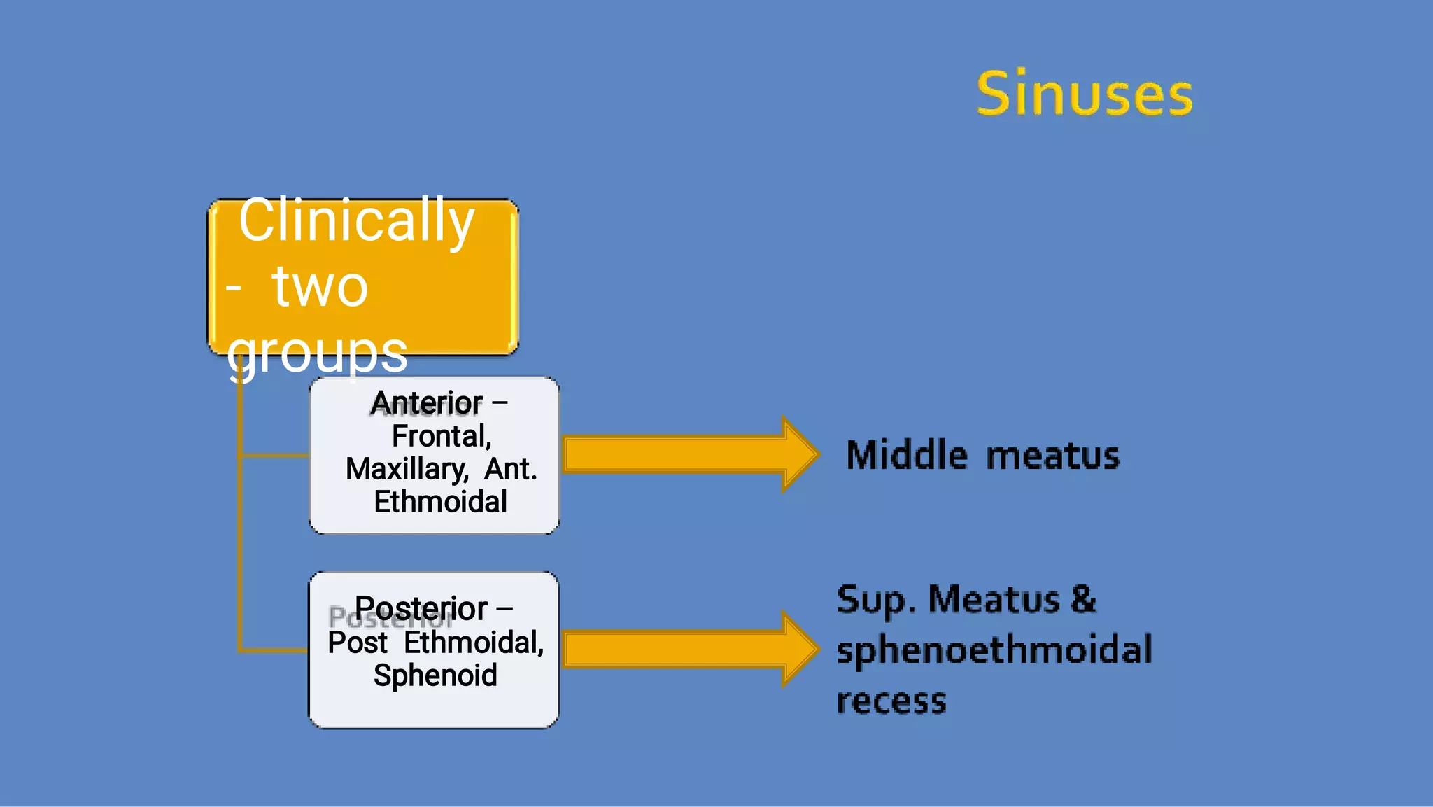 Ct anatomy of paranasal sinuses( PNS) pk.pdf ppt PPT