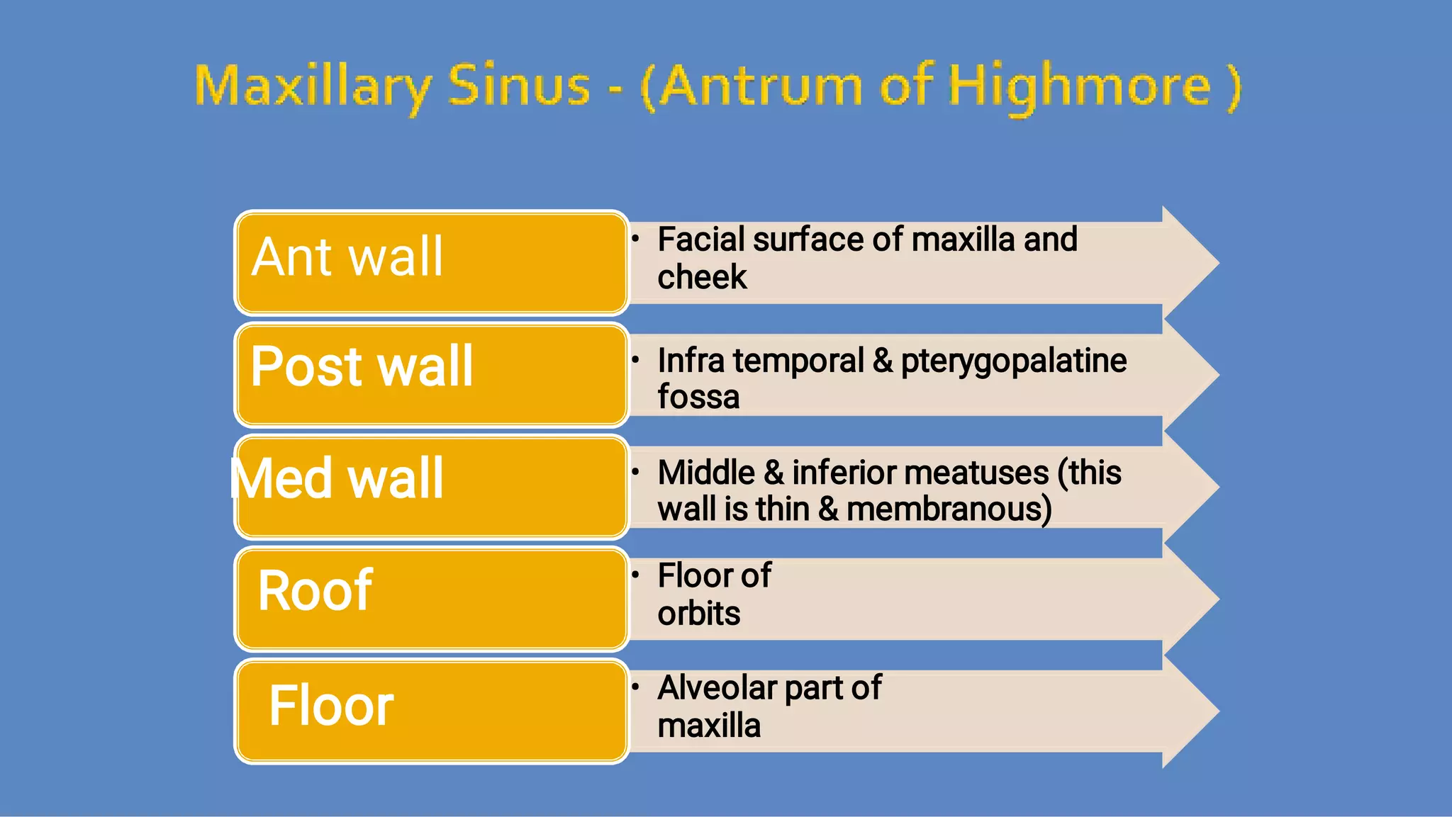 Ct anatomy of paranasal sinuses( PNS) pk.pdf ppt PPT
