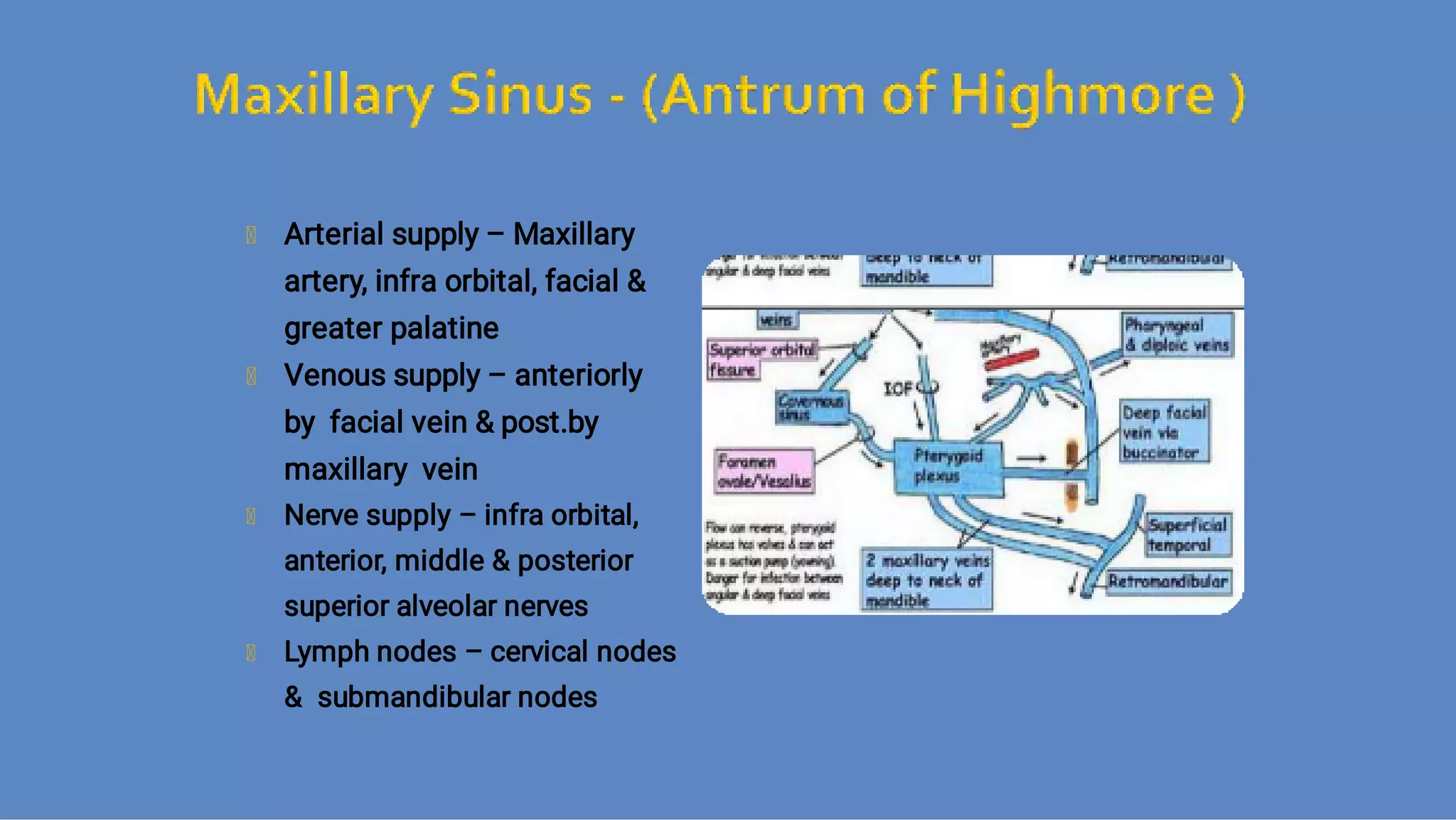 Ct anatomy of paranasal sinuses( PNS) pk.pdf ppt PPT