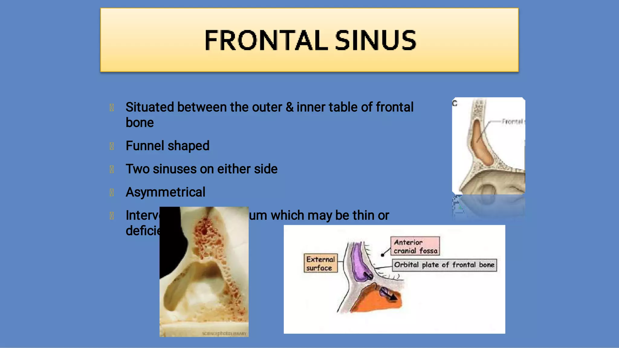 Ct anatomy of paranasal sinuses( PNS) pk.pdf ppt PPT