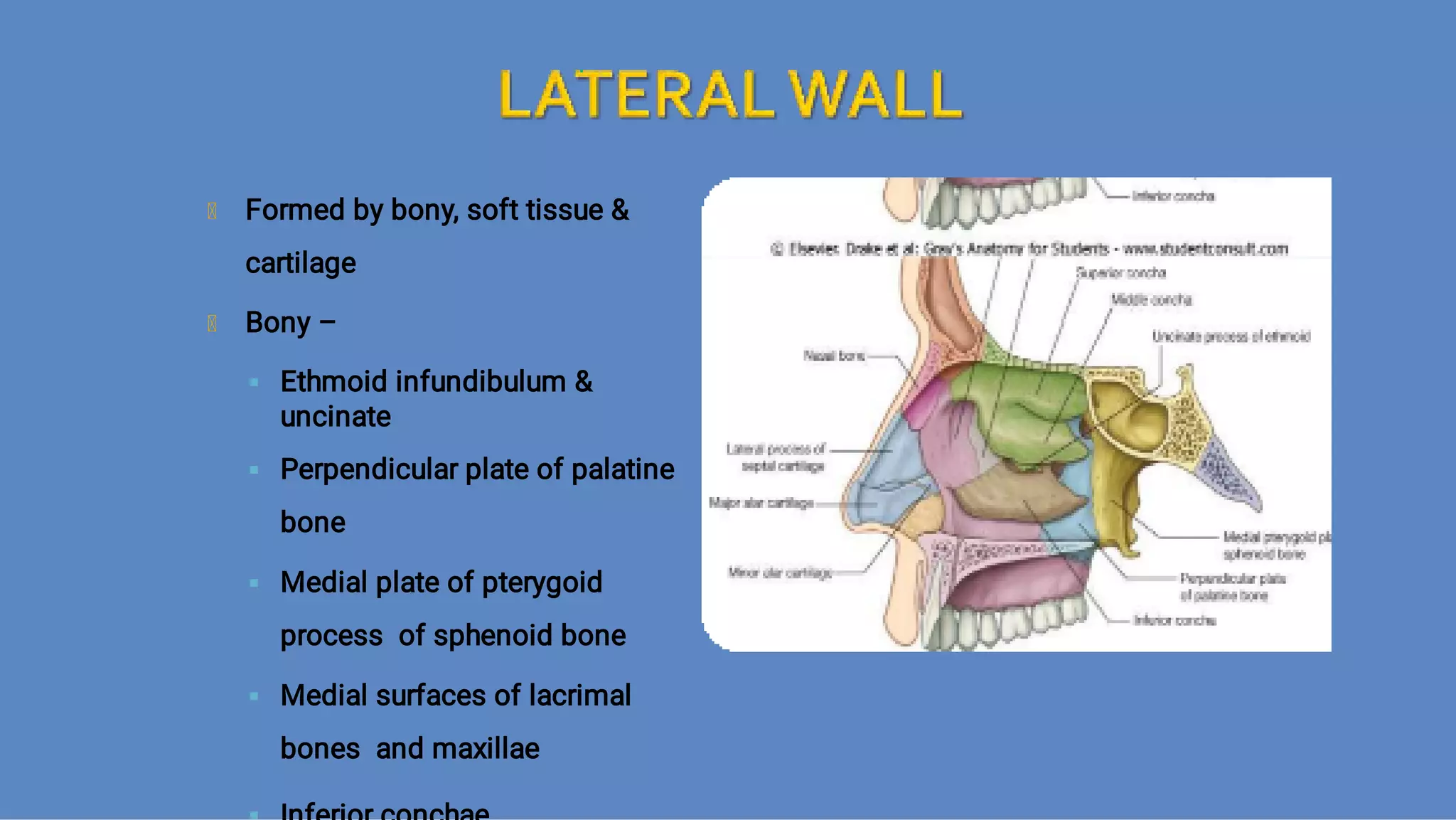 Ct anatomy of paranasal sinuses( PNS) pk.pdf ppt PPT