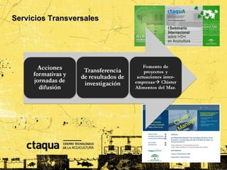 Servicios Transversales




                                r
                            uste ger
                          Cl na
                           Ma
 