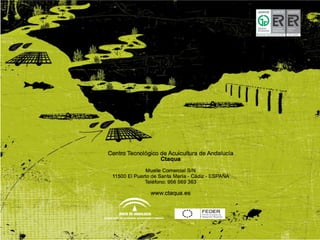 Fin_______________________
 