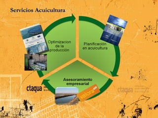Servicios Acuicultura
 