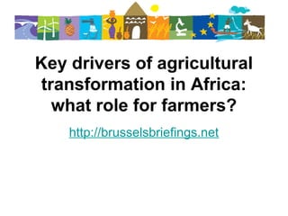 Key drivers of agricultural
transformation in Africa:
what role for farmers?
http://brusselsbriefings.net

 