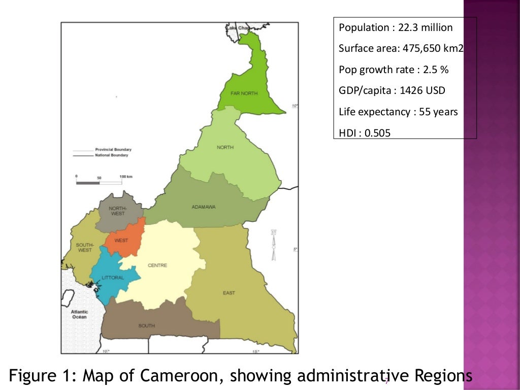 Cameroon agriculturenutrition nexus actors and key intervention are…