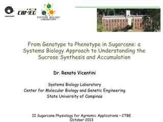 From Genotype to Phenotype in Sugarcane: a
Systems Biology Approach to Understanding the
Sucrose Synthesis and Accumulation
Dr. Renato Vicentini
Systems Biology Laboratory
Center for Molecular Biology and Genetic Engineering
State University of Campinas

II Sugarcane Physiology for Agrnomic Applications – CTBE
October 2013

 