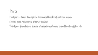 Parts
First part – From its origin to the medial border of anterior scalene
Second part-Posterior to anterior scalene
Third part-from lateral border of anterior scalene to lateral border of first rib
 