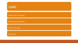 LUNG
Pulmonary Contusion
Pulmonary Laceration
Torsion of Lung
Atelectasis
 