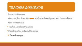 TRACHEA & BRONCHI
Severe chest trauma
#Fracture first three ribs Mediastinal emphysema and Pneumothorax
Most common sites
•Trachea just above the carina
•Main bronchus just distal to carina
Bronchoscopy
 