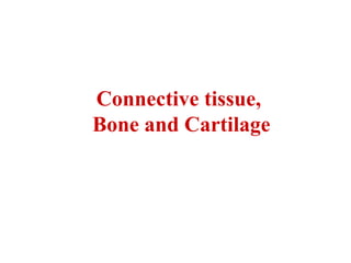 Connective tissue,
Bone and Cartilage
 