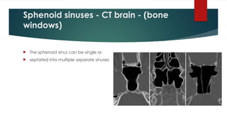 Sphenoid sinuses - CT brain - (bone
windows)
 The sphenoid sinus can be single or
 septated into multiple separate sinuses
 