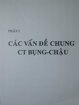 Ct bunq chau