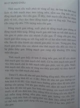 Ct bunq chau