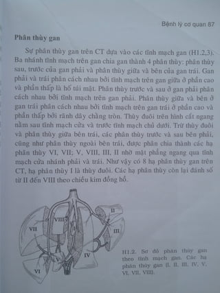 Ct bunq chau