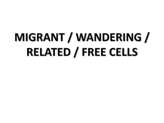 MIGRANT / WANDERING /
RELATED / FREE CELLS
 
