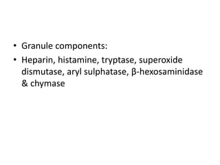 • Granule components:
• Heparin, histamine, tryptase, superoxide
dismutase, aryl sulphatase, β-hexosaminidase
& chymase
 