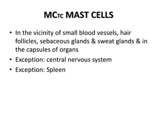 MCTC MAST CELLS
• In the vicinity of small blood vessels, hair
follicles, sebaceous glands & sweat glands & in
the capsules of organs
• Exception: central nervous system
• Exception: Spleen
 