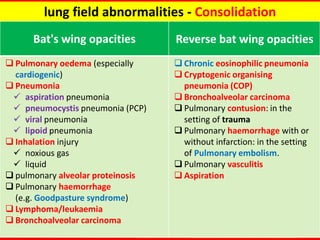 Ct chest fundamentals | PDF