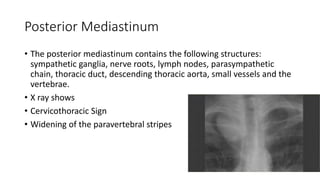 Posterior Mediastinum
• The posterior mediastinum contains the following structures:
sympathetic ganglia, nerve roots, lymph nodes, parasympathetic
chain, thoracic duct, descending thoracic aorta, small vessels and the
vertebrae.
• X ray shows
• Cervicothoracic Sign
• Widening of the paravertebral stripes
 