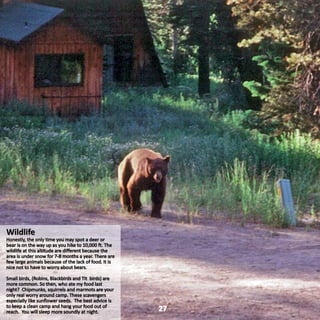 Crossing the California High Sierras with Marmot Bob