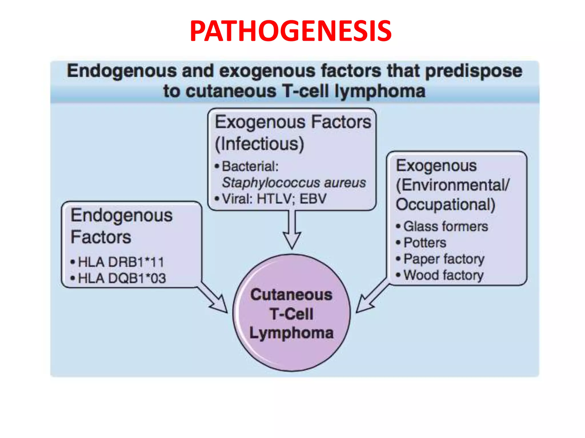Cutaneous T Cell Lymphomas | PPTX