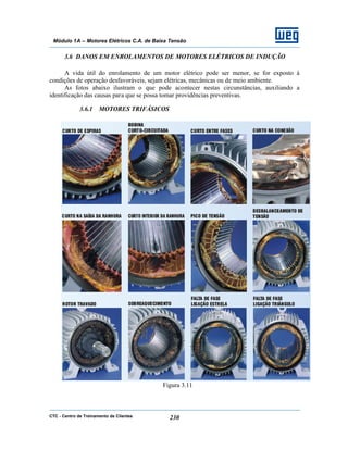 CTC - Centro de Treinamento de Clientes 230
Módulo 1A – Motores Elétricos C.A. de Baixa Tensão
3.6 DANOS EM ENROLAMENTOS DE MOTORES ELÉTRICOS DE INDUÇÃO
A vida útil do enrolamento de um motor elétrico pode ser menor, se for exposto à
condições de operação desfavoráveis, sejam elétricas, mecânicas ou de meio ambiente.
As fotos abaixo ilustram o que pode acontecer nestas circunstâncias, auxiliando a
identificação das causas para que se possa tomar providências preventivas.
3.6.1 MOTORES TRIFÁSICOS
Figura 3.11
 