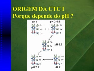 ORIGEM DA CTC I
Porque depende do pH ?
 