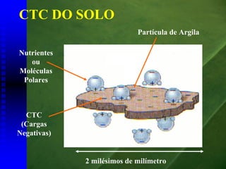 CTC DO SOLO
                            Partícula de Argila

Nutrientes
   ou
Moléculas
 Polares



  CTC
 (Cargas
Negativas)


             2 milésimos de milímetro
 