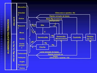 Microclina


                                                      Ortoclási                                          Clima seco e quente (- Si)
                                                      o
                                                                                                Rápida remoção de bases
                                 Alto em K             Outros                                Muito Mg na zona de
ALUMINOSILICATOS PRIMÁRIOS


                                                                                                intemperismo
                                                                                                       -
                                                                    -
                                                                                                       K
                                                                    K            Ilita
                                                      Muscovit     + H2O                             +K
                                                      a
                                                                          -              -


                                                                   +H
                                                                          K              K
                                                        Micas

                                                                    2
                                                                    O
                                                                                                  - Mg
                                                                              Vermiculita                 Esmectita             Caulinita   Óxidos
                                                        Biotita                                          (Montmorilonit                     de Fe e
                                                                                                              a)                              Al
                                                                      g
                             Alto em Mg, Ca, Na, Fe




                                                       Clorita     -M                - Mg
                                                                     -                            - Mg
                                                       primári
                                                          a         K          Clorita

                                                                                Lenta remoção de bases
                                                      Carbonatos                         Rápida remoção de
                                                                                               bases
                                                      Feldspato                            Clima seco e quente (- Si)

                                                        Augita

                                                      Hornblend
                                                      a
                                                        Outros
 