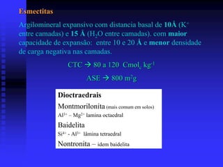 Esmectitas
Argilomineral expansivo com distancia basal de 10Å (K+
entre camadas) e 15 Å (H2O entre camadas). com maior
capacidade de expansão: entre 10 e 20 Å e menor densidade
de carga negativa nas camadas.
                 CTC         80 a 120 Cmolc kg-1
                          ASE        800 m2g

             Dioctraedrais
             Montmorilonita (mais comum em solos)
             Al3+ – Mg2+ lamina octaedral
             Baidelita
             Si4+ - Al3+ lâmina tetraedral
             Nontronita – idem baidelita
 