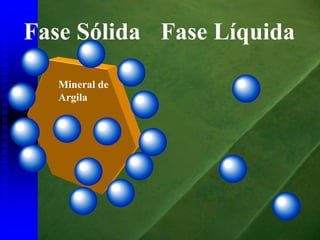 Fase Sólida Fase Líquida

   Mineral de
   Argila
 