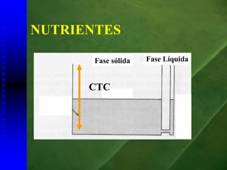 NUTRIENTES

       Fase sólida   Fase Líquida


      CTC
 