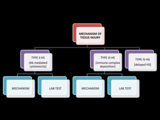 TYPE II HS
[Ab mediated
cytotoxicity]
MECHANISM LAB TEST
TYPE III HS
[immune complex
deposition]
MECHANISM LAB TEST
TYPE IV HS
[delayed HS]
 