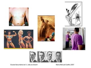 Escola Secundária de S. João do Estoril   Maria Manuel Coelho 2007
 