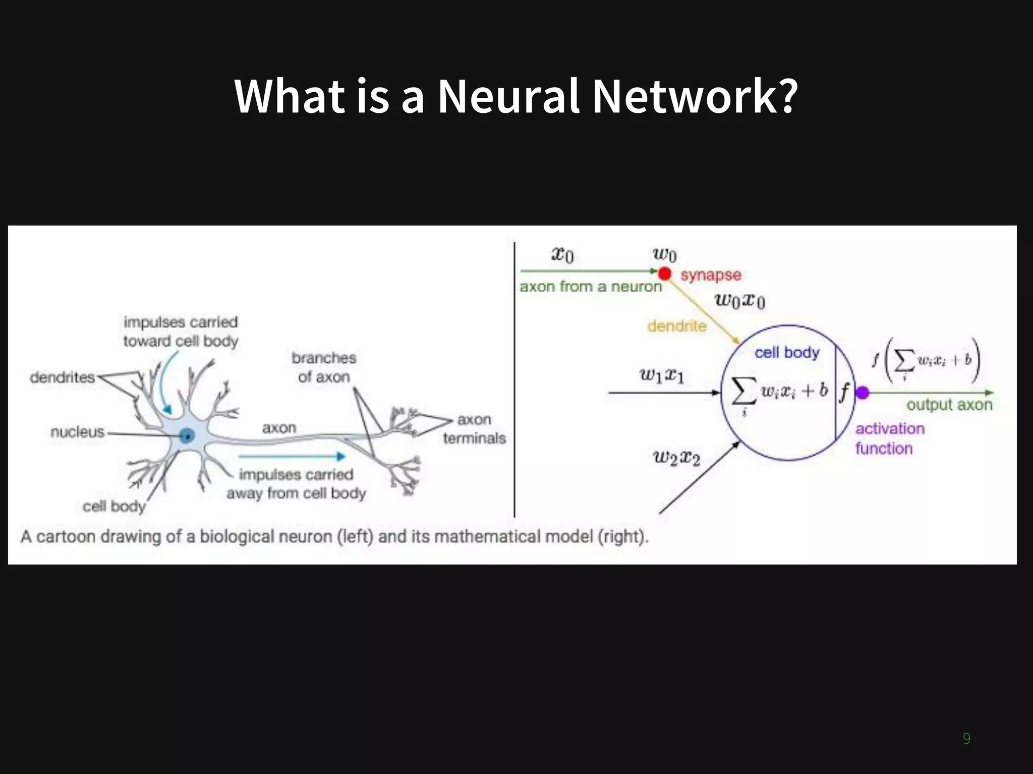 What is a Neural Network?
9
 