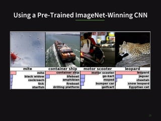 Using a Pre-Trained ImageNet-Winning CNN
28
 