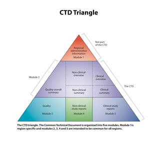 CTD Triangle

Regional
administrative
information
Module 1

Non-clinical
overview

Module 2

Not part
of the CTD

Clinical
overview
The CTD

Quality overall
summary

Quality
Module 3

Non-clinical
summary

Clinical
summary

Non-clinical
study reports

Clinical study
reports

Module 4

Module 5

The CTD triangle. The Common Technical Document is organized into five modules. Module 1is
region specific and modules 2, 3, 4 and 5 are intended to be common for all regions.

 