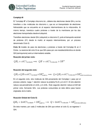 Facultad de Ingeniería Agraria
Programa de Ingeniería Ambiental
8
Complejo III
El "complejo III" o Complejo citocromo bc1, obtiene dos electrones desde QH2 y se los
transfiere a dos moléculas de citocromo c, que es un transportador de electrones
hidrosoluble que se encuentra en el espacio intermembrana de la mitocondria. Al
mismo tiempo, transloca cuatro protones a través de la membrana por los dos
electrones transportados desde el ubiquinol.
Transfiere electrones desde QH2 (ubiquinol) a citocromo C, junto al transporte vectorial
de protones (H+
) desde la matriz al espacio intermembrana, por un proceso
denominado Ciclo Q.
Ciclo Q: modelo de paso de electrones y protones a través del Complejo III, en 2
Ciclos. La esencia del ciclo Q es que QH2 pasa por una reoxidaciónbicíclica en donde
QH (semiquinona) será un intermediario estable.
Reacción del primer ciclo:
Reacción del segundo ciclo:
En el segundo ciclo, otra molécula de QH2 proveniente del Complejo I, pasa por el
proceso anterior, luego 1 electrón reduce la proteína Fe-S y el cit.C1. El otro electrón
reduce secuencialmente el cit.BL y el cit.BH. Éste segundo electrón reduce el QH del
primer ciclo, formando QH2. Los protones consumidos en éste último paso fueron
originados de la matriz.
Reacción Global del Ciclo Q:
De ésta manera, por cada 2 moléculas de QH2 que entran al ciclo Q, se regenera 1
QH2
 
